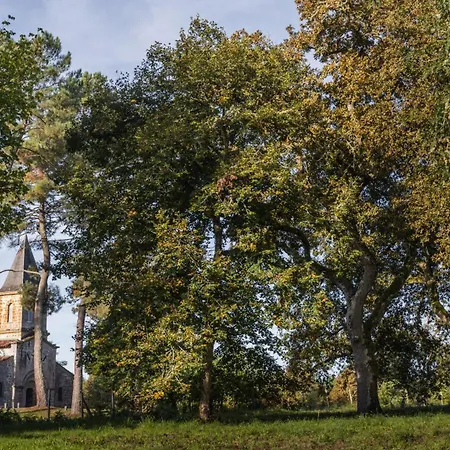 Campagne Mirasol