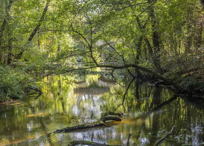 Campagne Muller Uchacq-et-Parentis